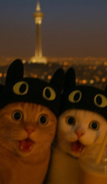  عکس های پس زمینه عاشقانه