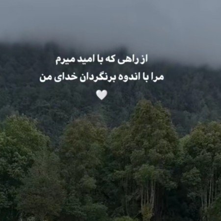  عکس های امید