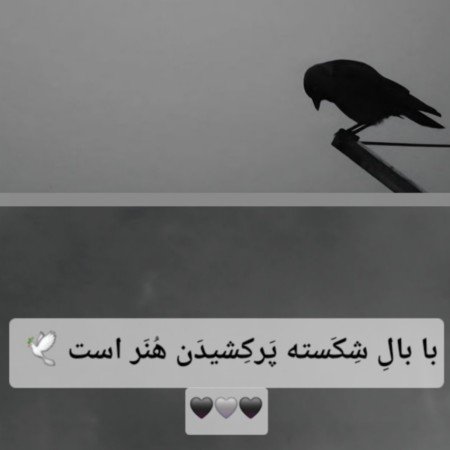  عکس های امید