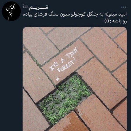  عکس های امید