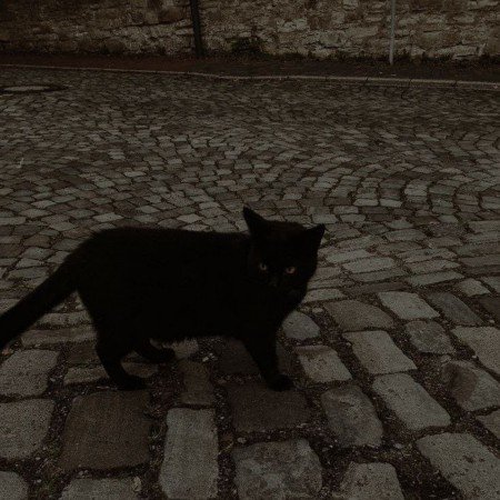  عکس های خیابان