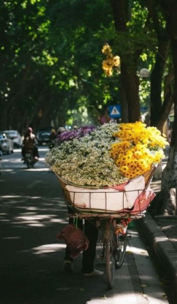  عکس های خیابان