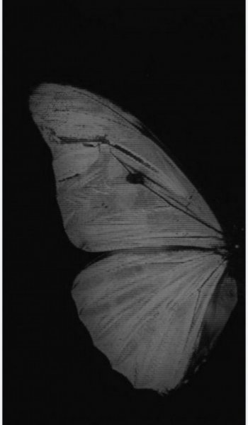  عکس های مد روز