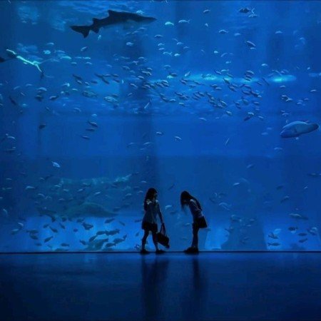  عکس های مد روز