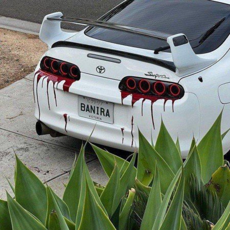  عکس های اسپرت