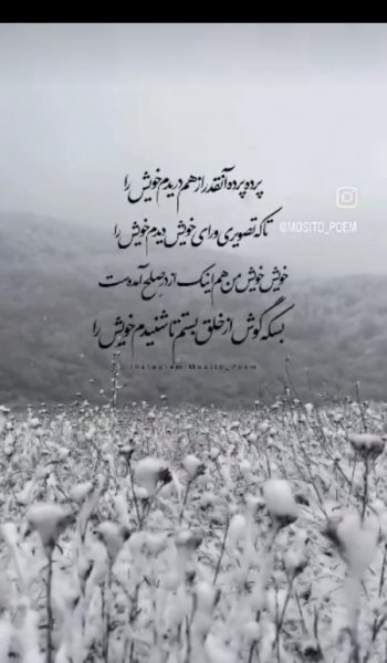  عکس های ادبی