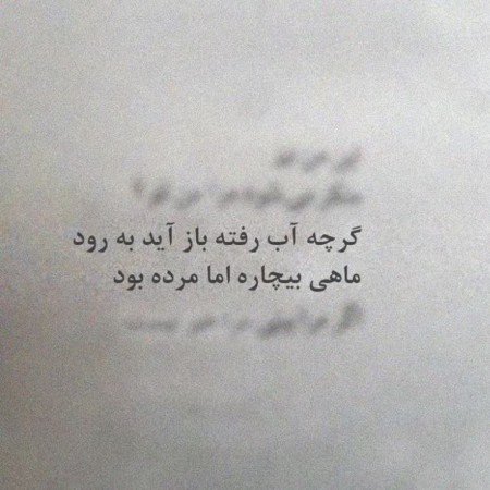  عکس های ادبی