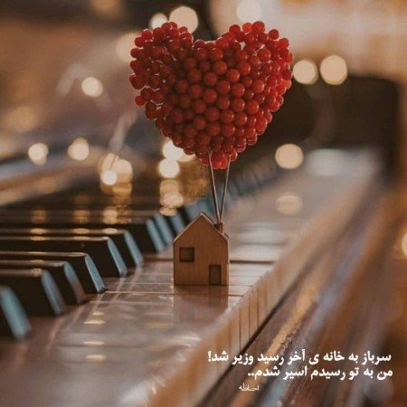  عکس های ادبی