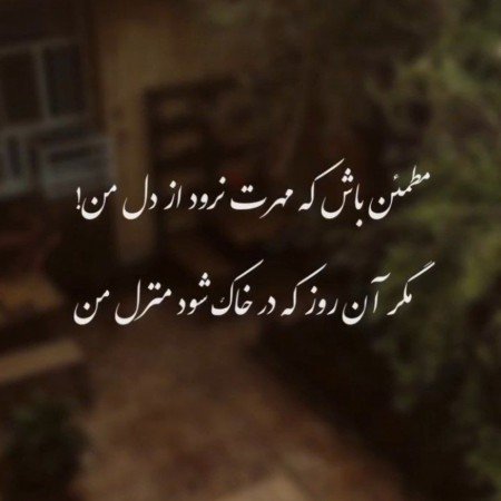  عکس های ادبی