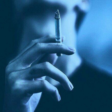  عکس های ادبی