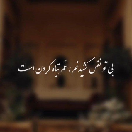  عکس های ادبی