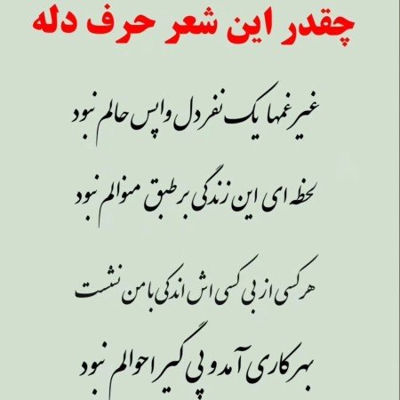  عکس های ادبی