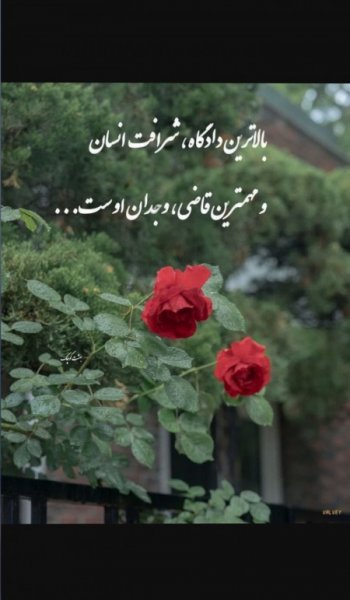  عکس های ادبی