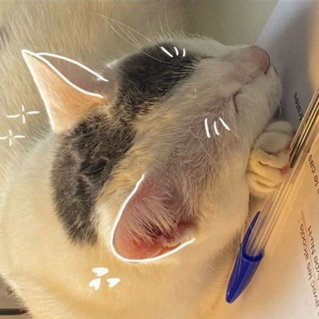  عکس های مدرسه