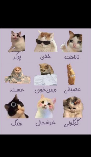  عکس های سرگرمی