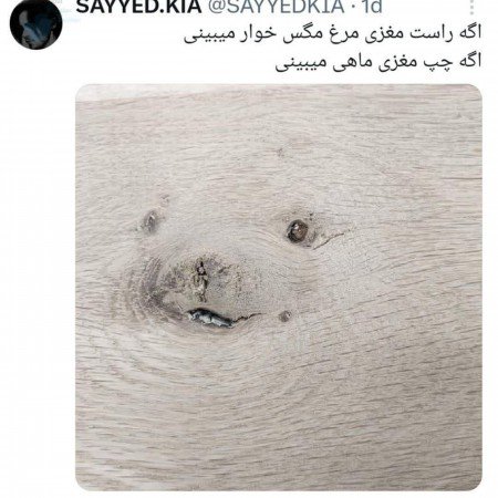  عکس های سرگرمی