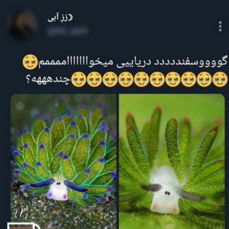  عکس های سرگرمی