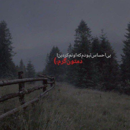  عکس های دوستت دارم