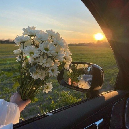  عکس های قلب سفید