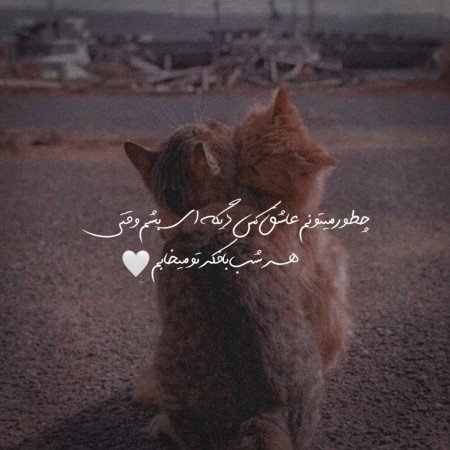  عکس های عاشقانه گلچین