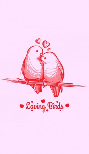  عکس های عاشقانه گلچین