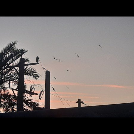  عکس های خورشید