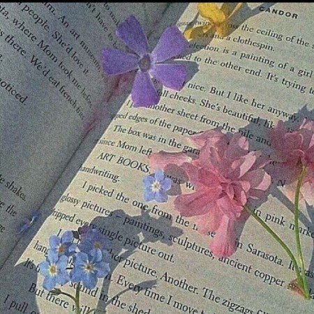  عکس های خورشید