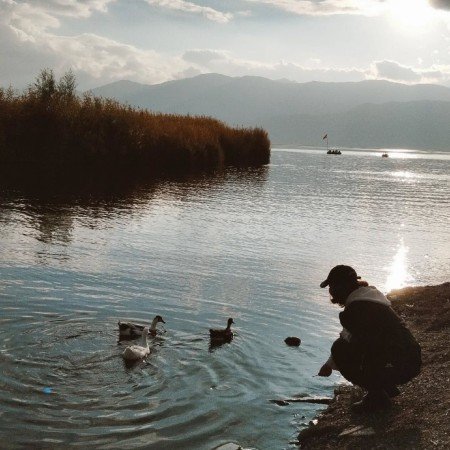  عکس های خورشید