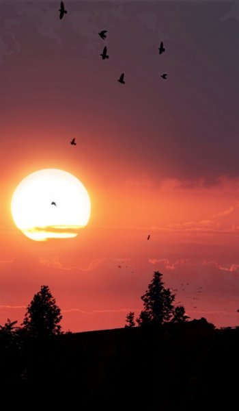  عکس های خورشید