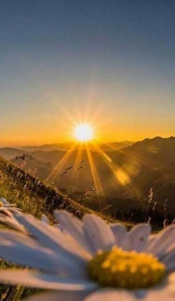  عکس های خورشید