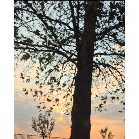  عکس های خورشید