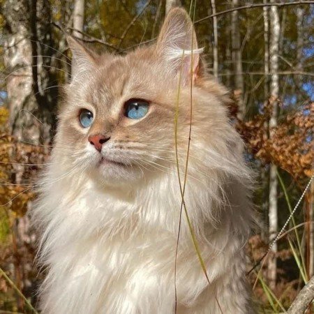 عکس طلوع خورشید