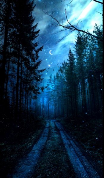  عکس طلوع خورشید