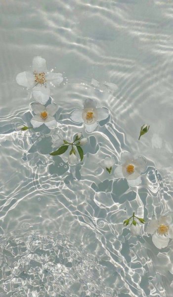  عکس طلوع خورشید