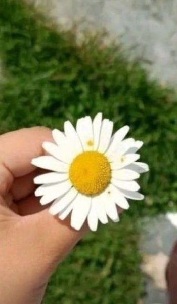  عکس طلوع خورشید