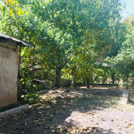  عکس طلوع خورشید برای استوری