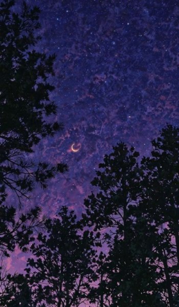  عکس های والپیپر ماه