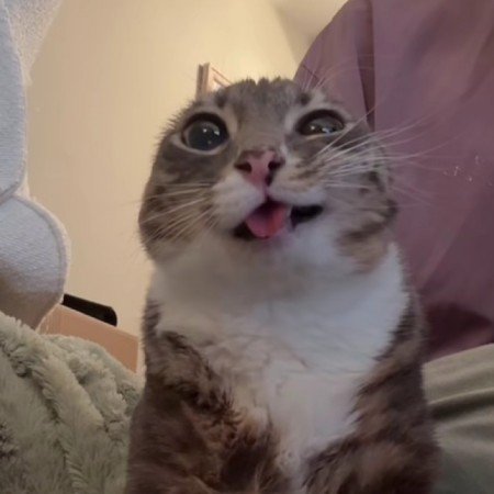  عکس های انیمیشن