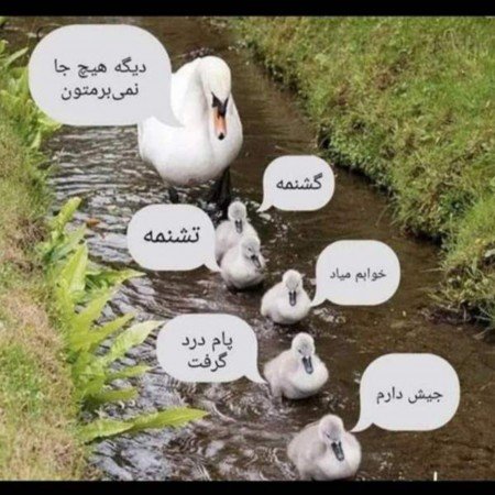  عکس های خنده