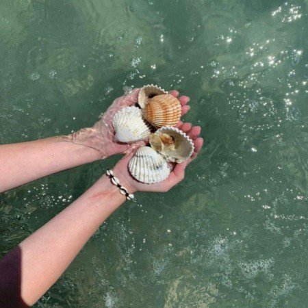  عکس های پس زمینه گردشگری