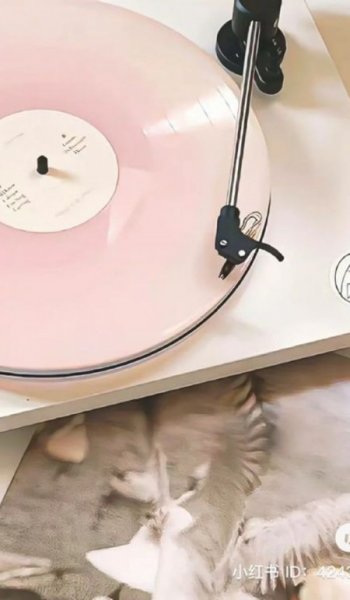  عکس های وایب صورتی