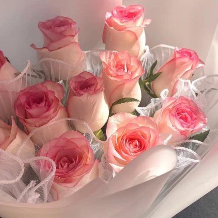  عکس های وایب صورتی