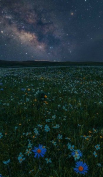  عکس های دارک طبیعت