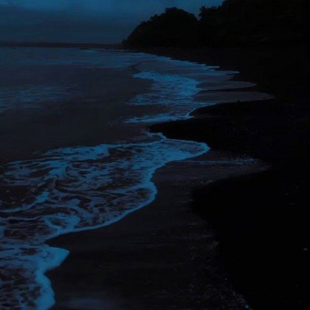  عکس های دارک طبیعت