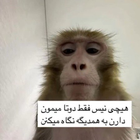  عکس های طنز