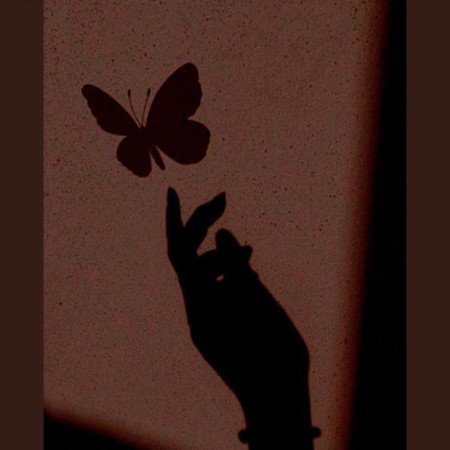  عکس های خام طبیعت