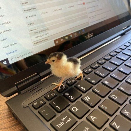  عکس های خام طبیعت