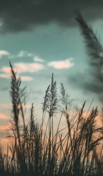  عکس های خام طبیعت