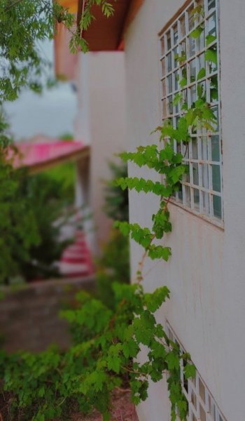  عکس های خام طبیعت