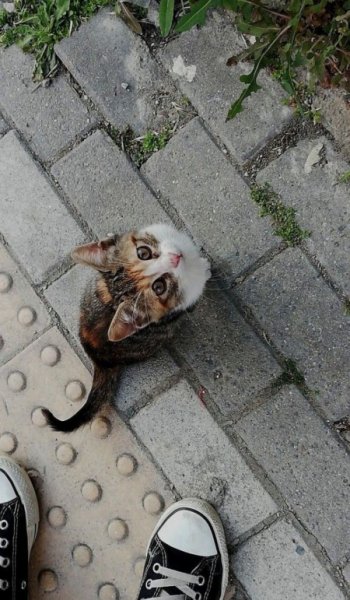  عکس های خام طبیعت